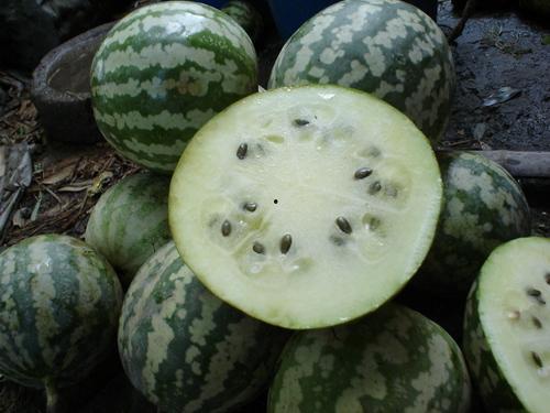 延安小瓜怎么吃,解锁美味新体验