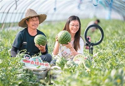 青年吃瓜,揭秘网络时代的娱乐狂欢与社交风向标