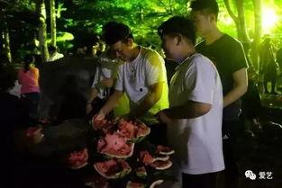 武职吃瓜事件,揭秘校园网络舆论风波背后的真相