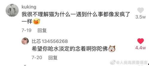 吃瓜忘了交作业,作业交不出的尴尬