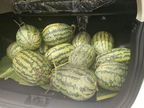 吃瓜的板凳,揭秘娱乐圈背后的故事