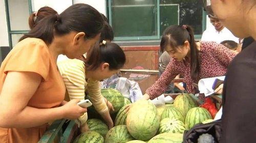 朝阳村吃瓜群众,揭秘乡村生活百态