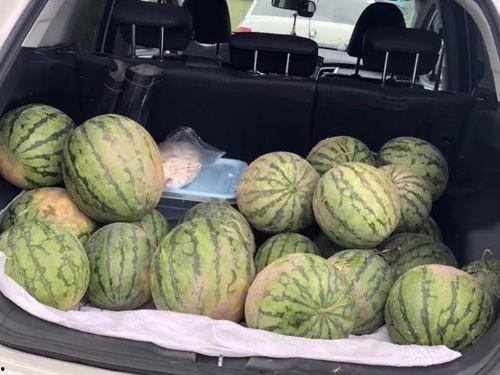 摘个瓜吃,跟随“摘个瓜吃”探寻明星幕后故事