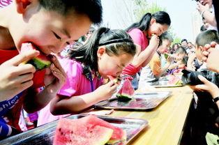 摆摊吃瓜大赛视频,摆摊吃瓜大赛，一场视觉与味蕾的双重狂欢