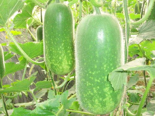 燊宝吃瓜,揭秘娱乐圈幕后故事