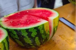 方便的朋友 吃瓜,畅享朋友时光