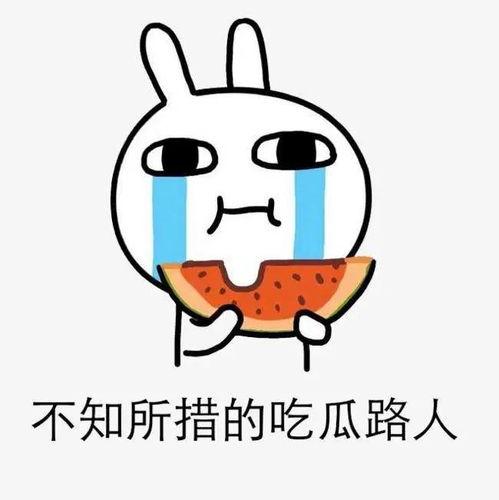 工作室吃瓜,一场娱乐圈的“瓜”事大揭秘