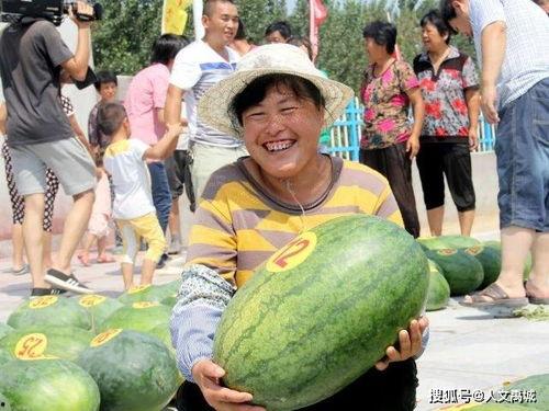 禹城吃瓜事件,一场引发社会关注的网络热议事件