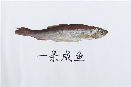 咸鱼小姐的吃瓜日常,揭秘娱乐圈幕后故事