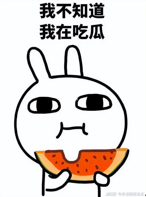 绘画瓜瓜吃瓜,瓜瓜的甜蜜瓜果时光